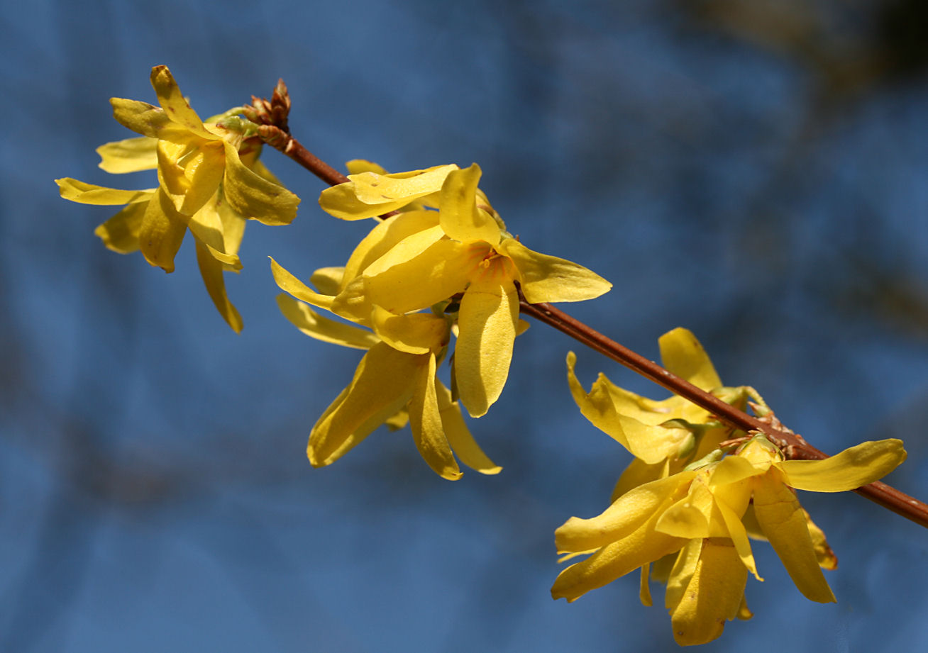 26 March - spring!