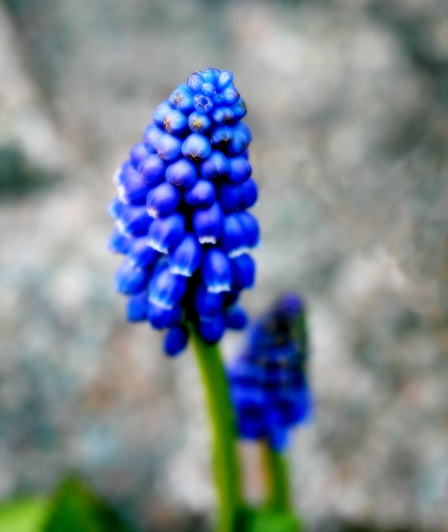 27 March - Spring is here!
