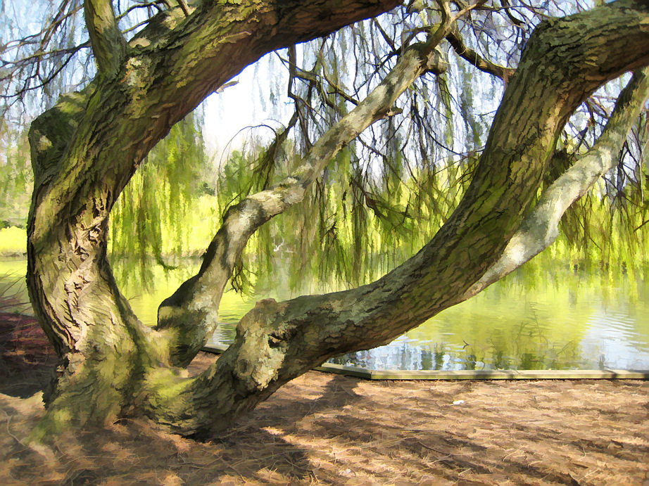 2 April - another buzzed tree!