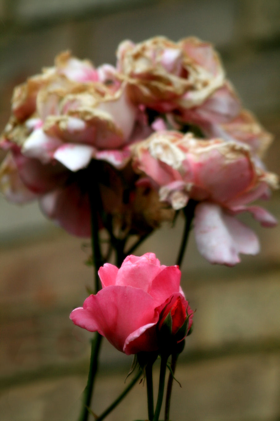 25 June - out with the old...