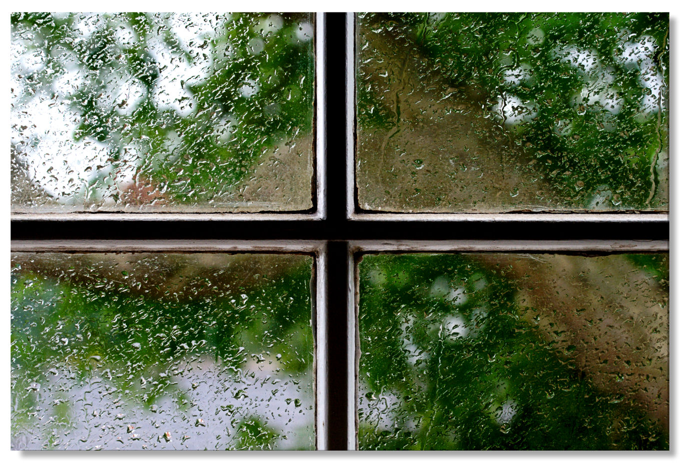14 August - ghastly weather