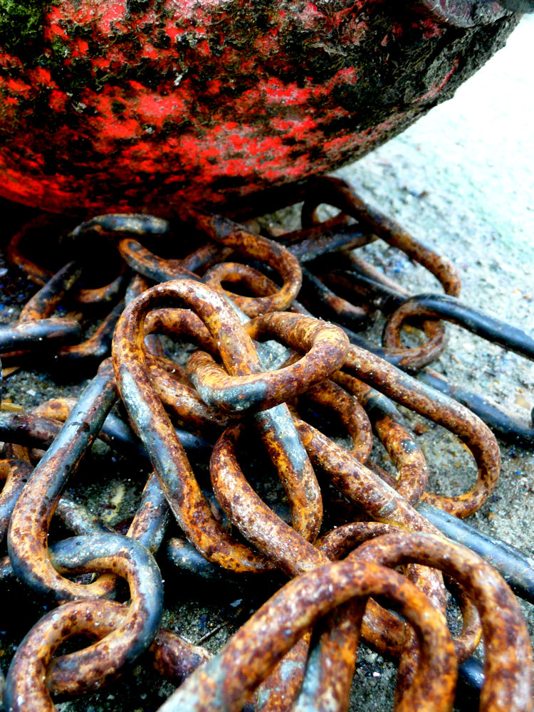 23 August - TITC Chains