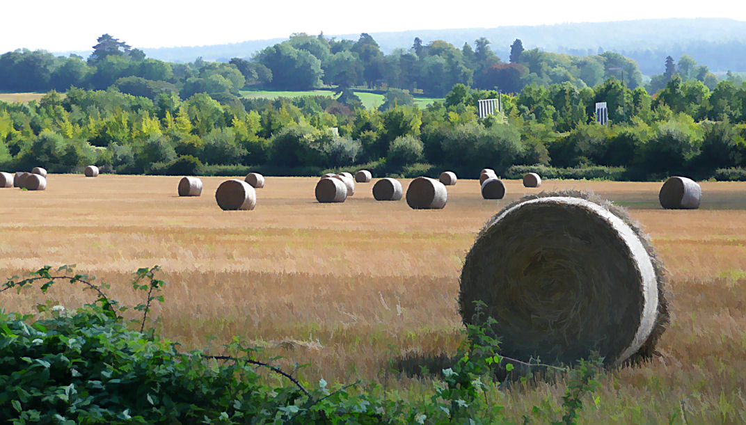 Bales