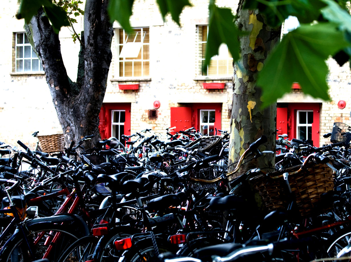 Billions of bikes