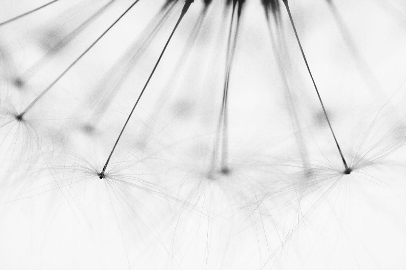 8 October - seeds