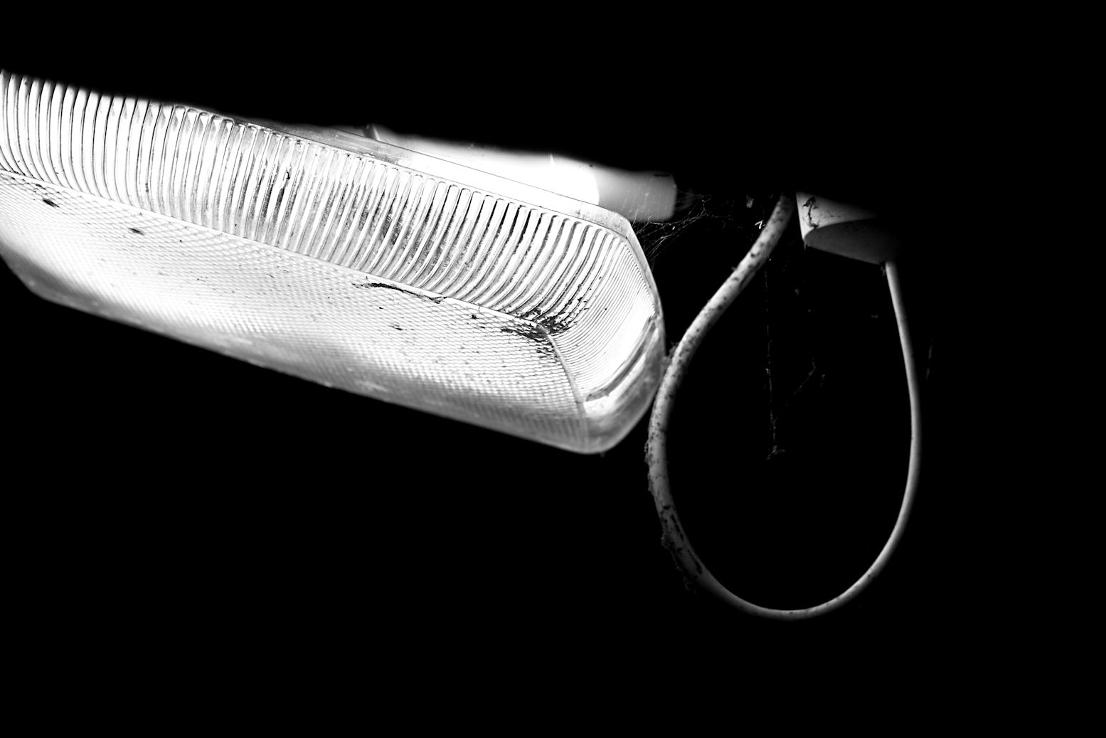 Noose?!