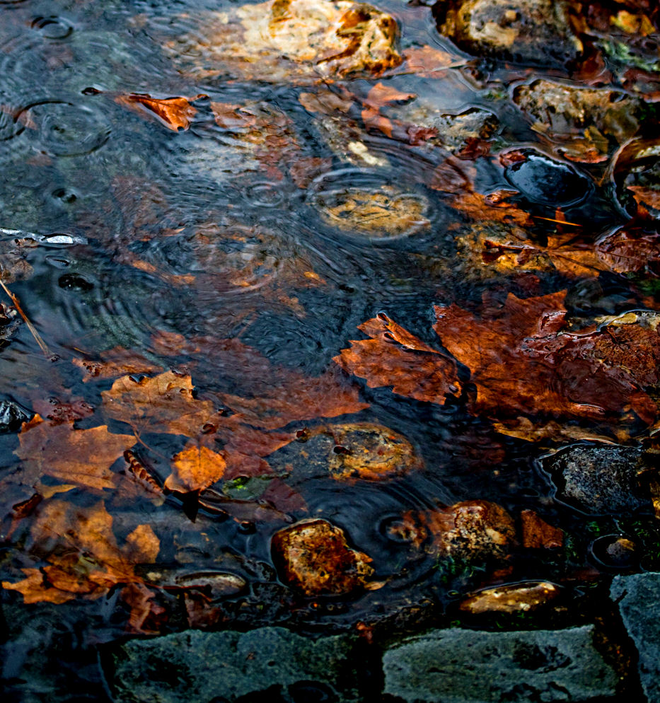 Rain, cobbles & leaves