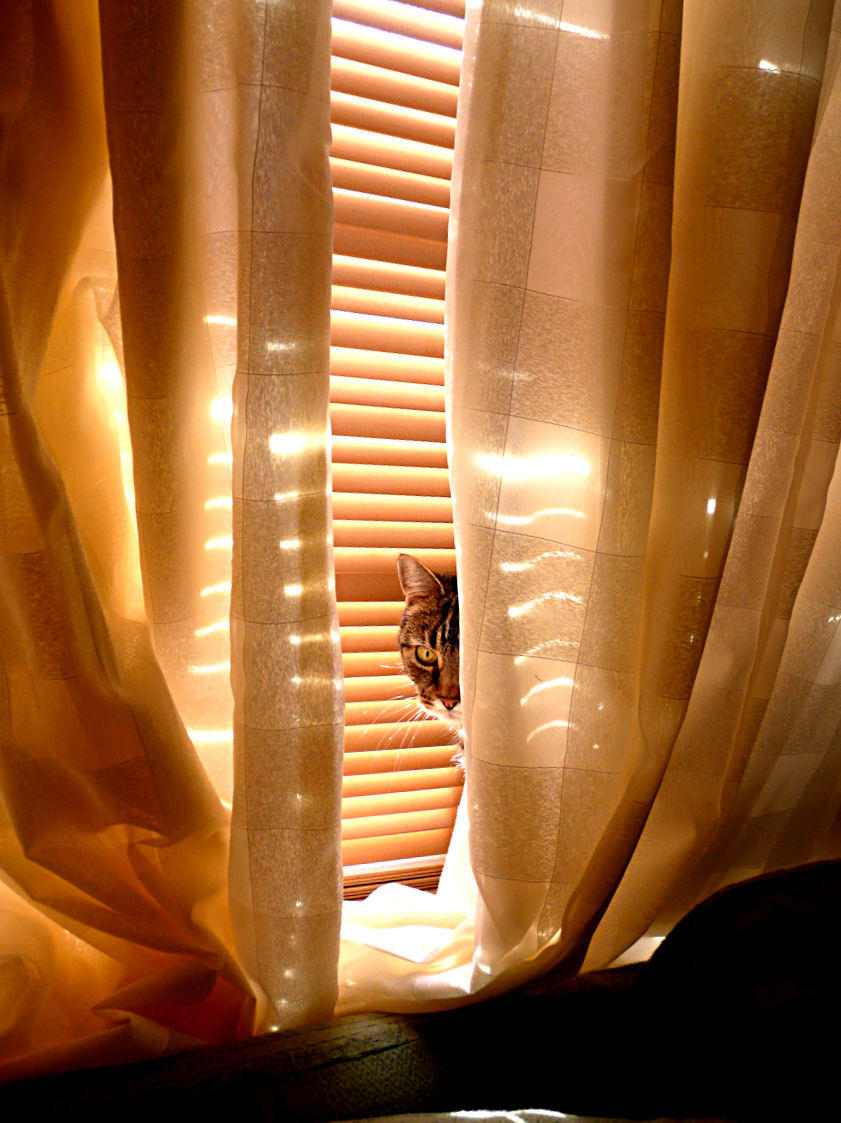 3 February - morning sunbathe