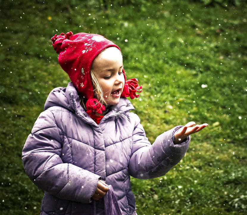 Snow catching