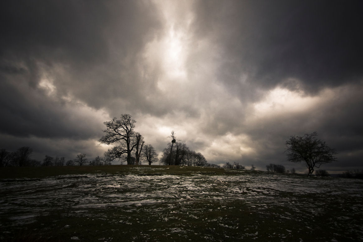 Knole Park