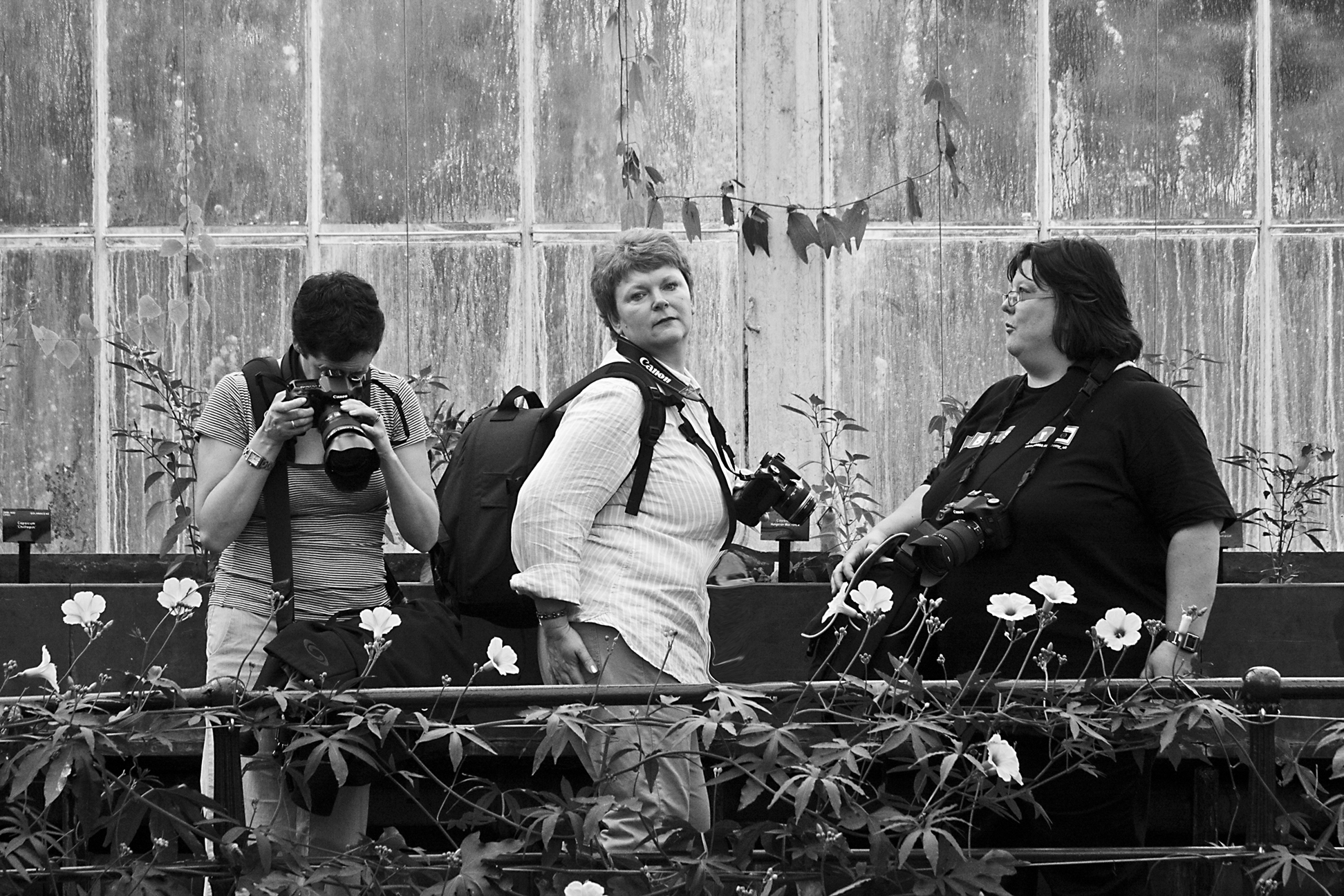 Gail, Bev, Rose