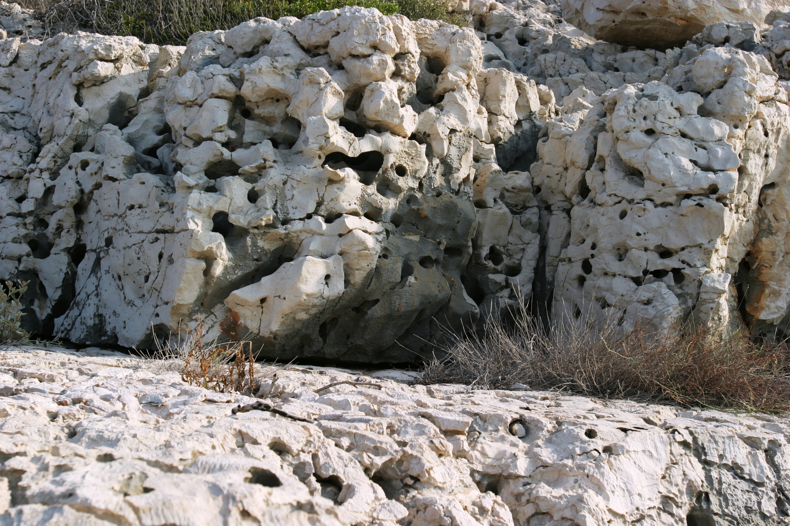 Picture 035.jpg