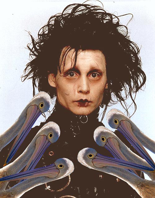 Edward-Pelicanhands.jpg