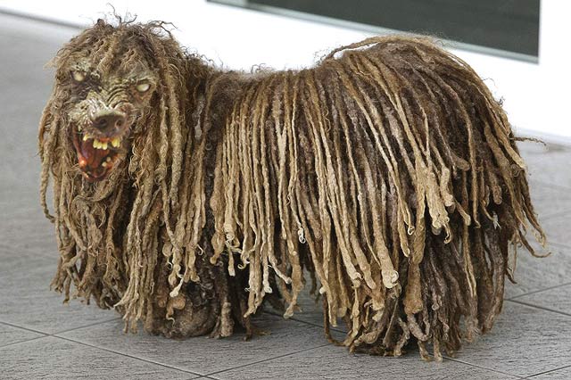 Ugly-Dread.jpg