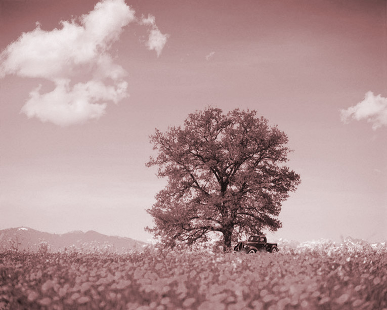 Sepia-Blank-Tfunk.jpg