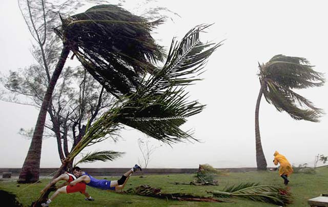 Gusty.jpg