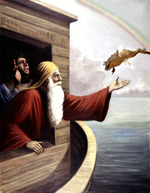 Noahs-Duck.jpg