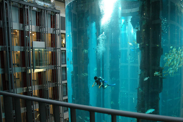 Aquadom-O.jpg