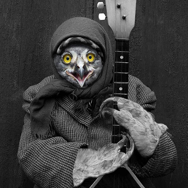 Owl-Picker.jpg
