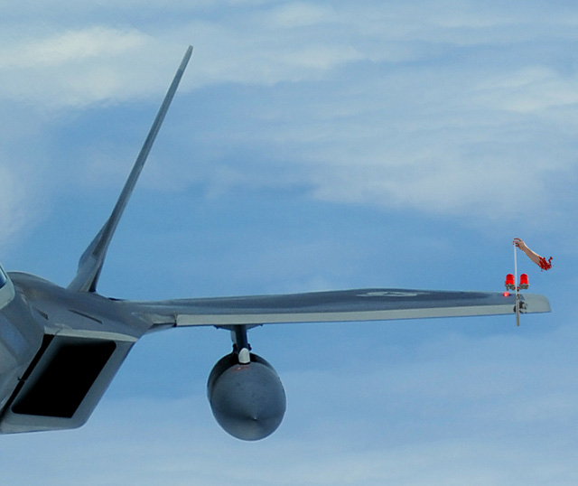 Low-Flight.jpg