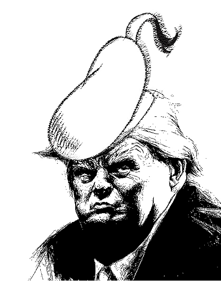 The-Donald.jpg