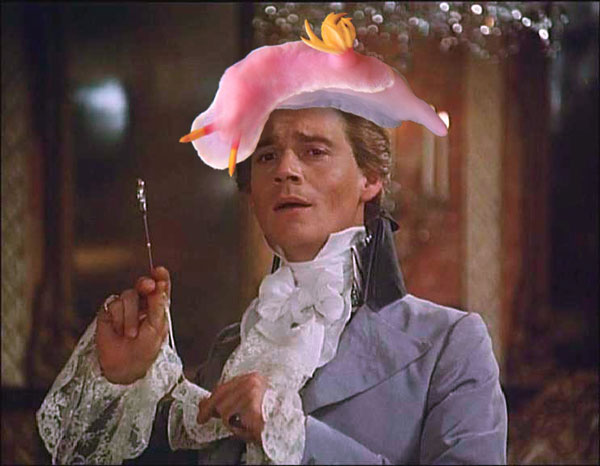 Pimpernel.jpg