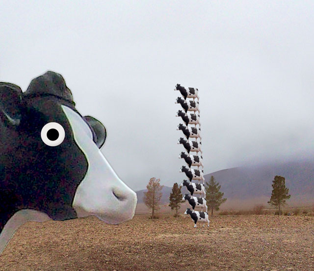 Cow-Stack.jpg