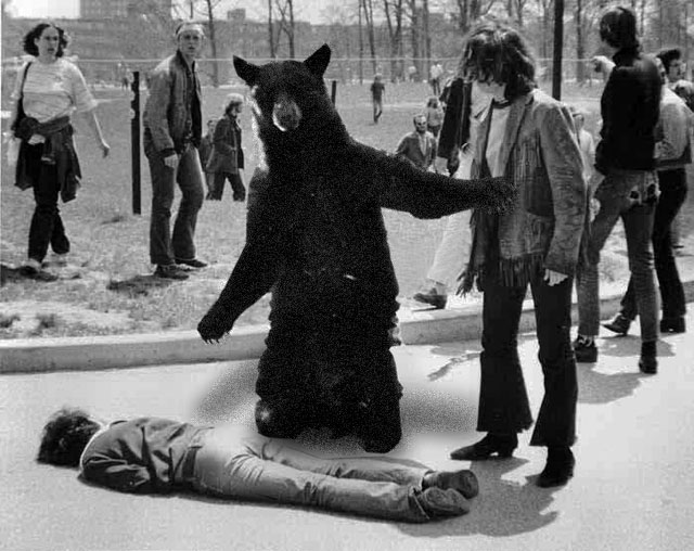Kent-Bear.jpg