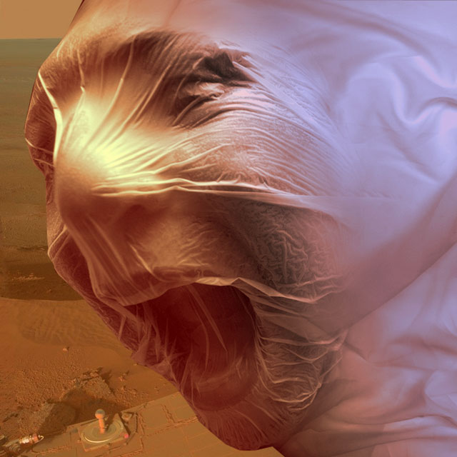 Welcome-to-Mars-sml.jpg