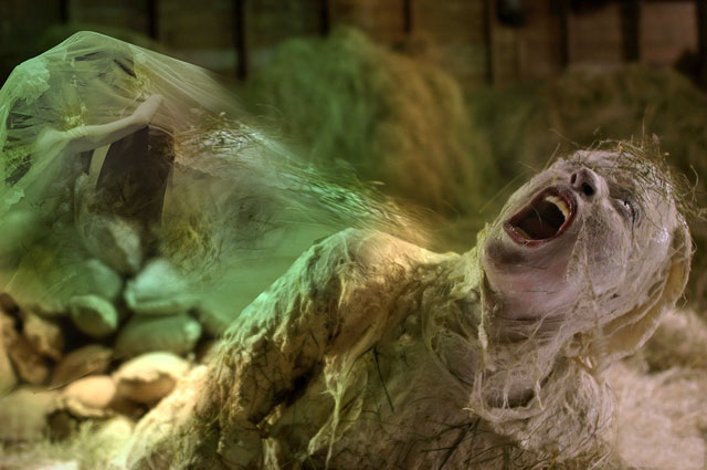 cocooned-sml.jpg