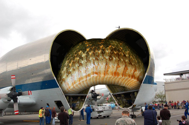 Snake-transport-sml.jpg