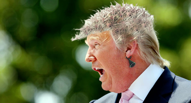 Trump-cactus.jpg