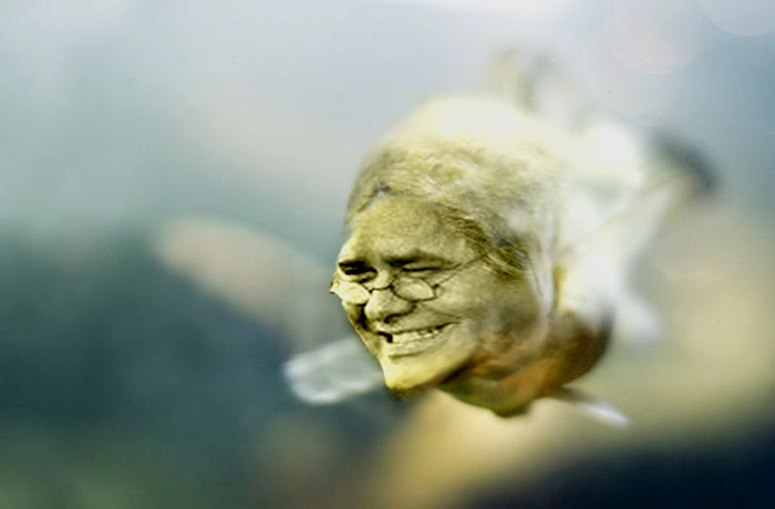 Winter-Fish.jpg