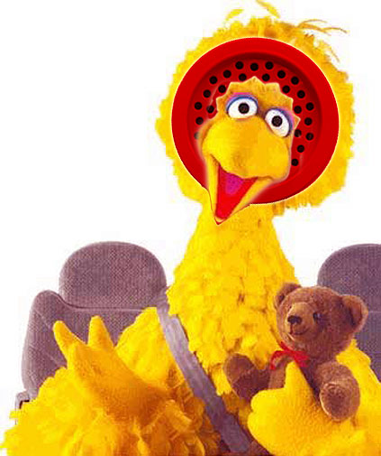 Big-Bird.jpg