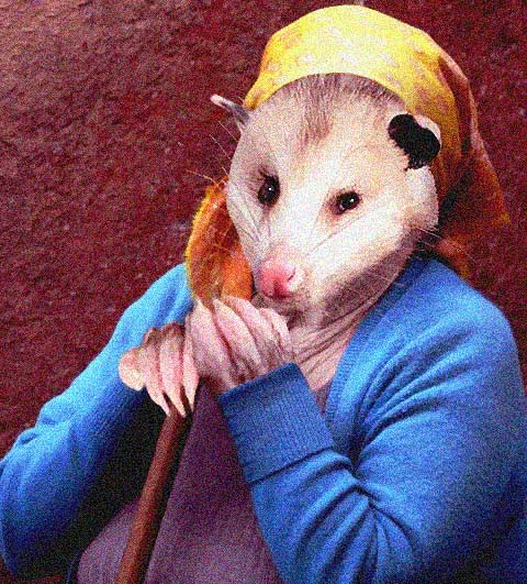 Old-Possum-Lady.jpg