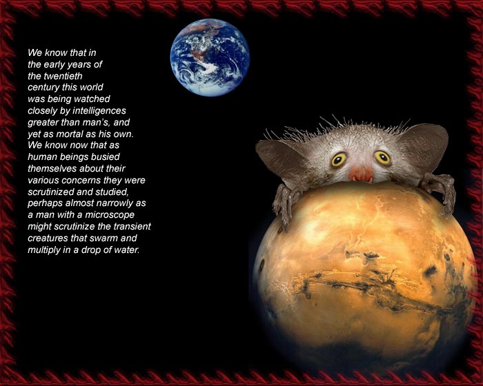WOTW.jpg