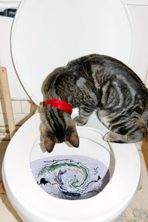 Kitty-Flow-Chart.jpg