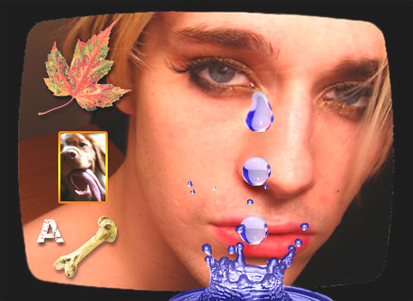 Leave-Britney-A-Bone.jpg
