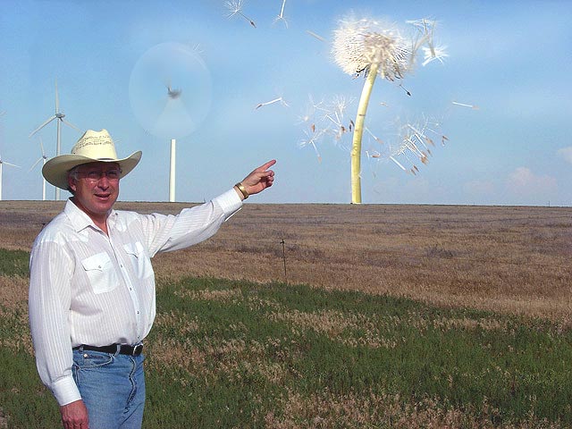 Dandelion-Wind.jpg