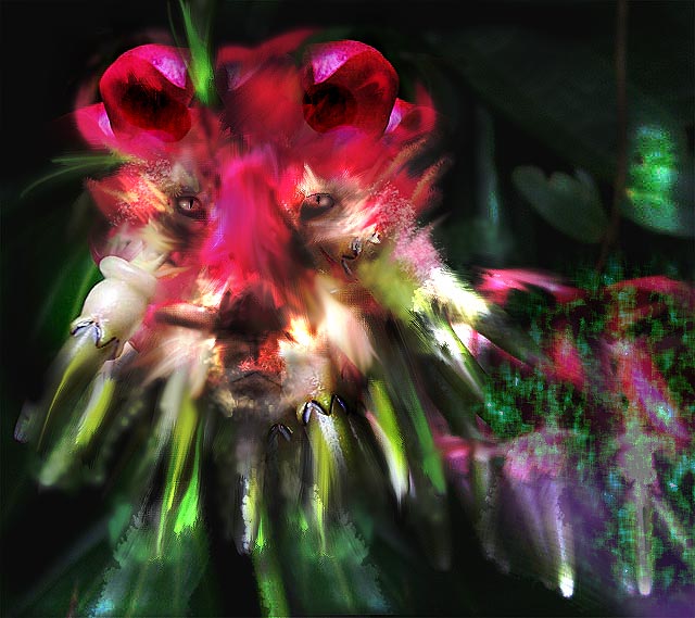 Lion-Flower.jpg