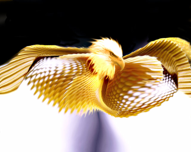Honey-Eagle.jpg