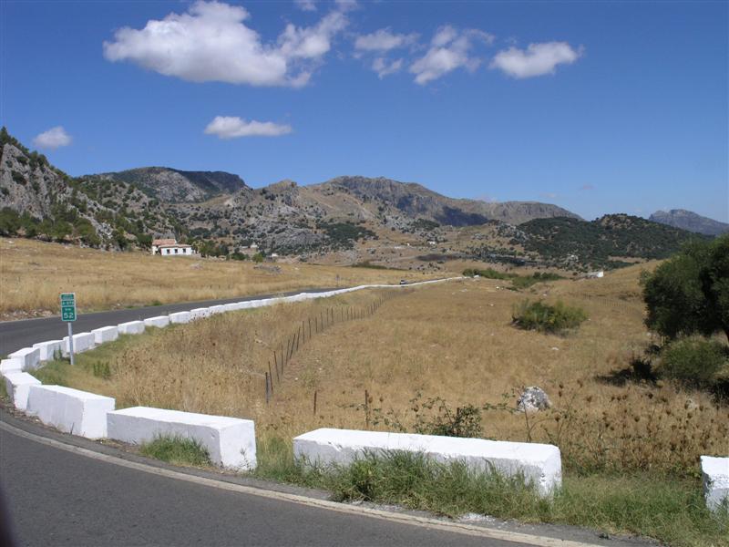 P8163357.JPG