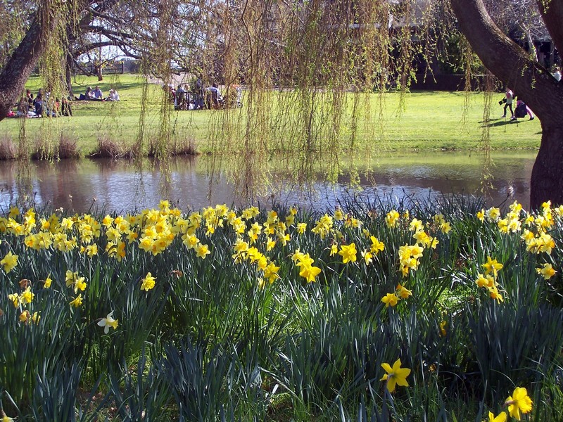 Spring 07-6757-1x.JPG