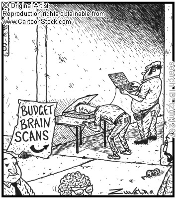 budget brain scan.JPG