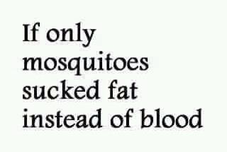 mosquitos.jpeg