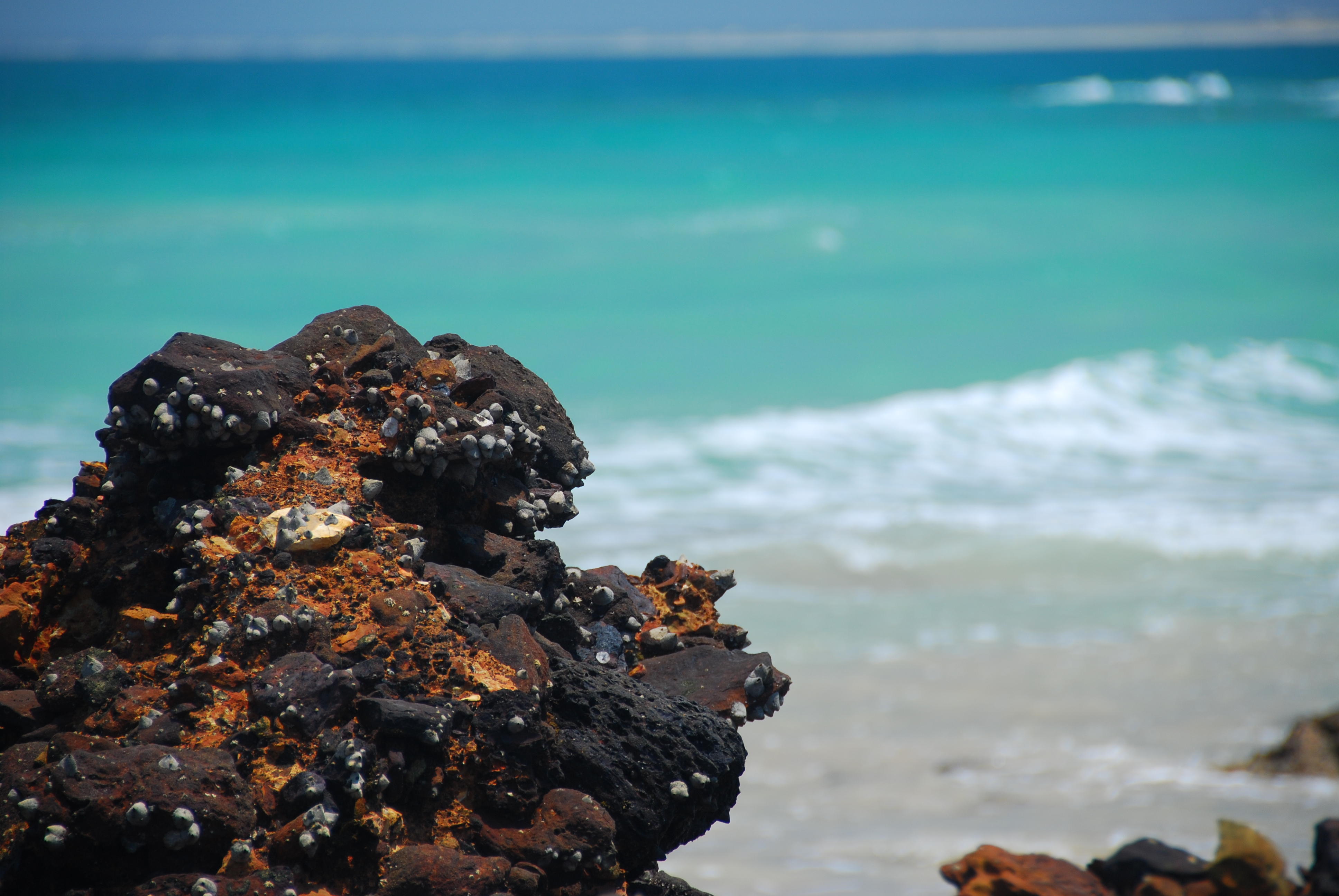 DSC_0069.JPG