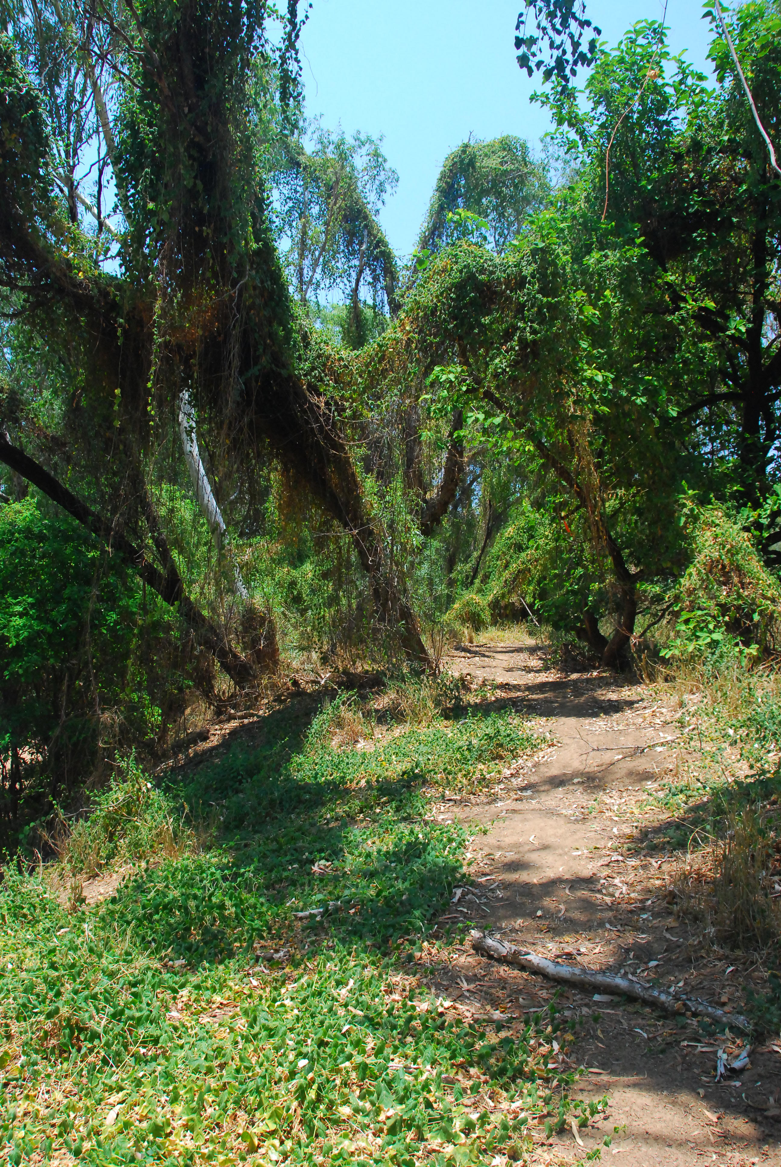 DSC_0326.JPG