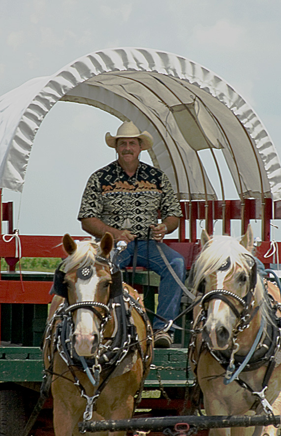 Horse Drawn Shuttle