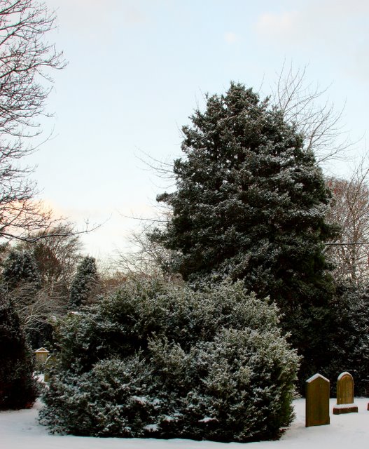 Thornaby Cemetery
