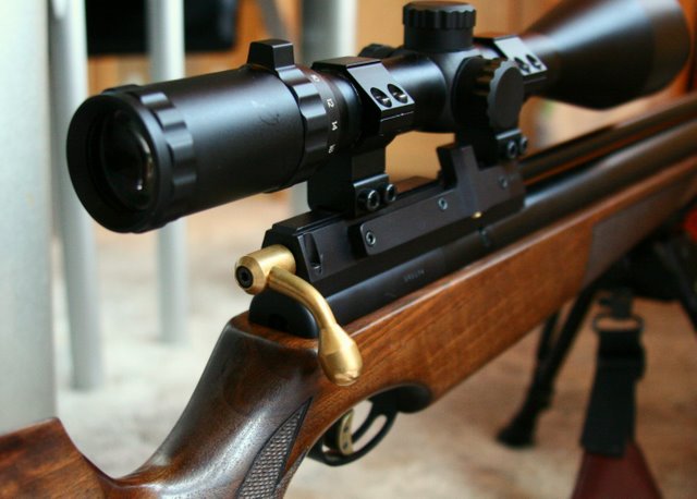 Air Rifle